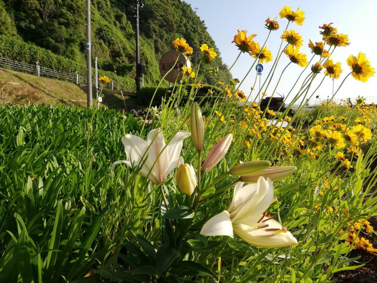 Izu Hokkawa Seaside Guesthouse 伊豆北川の家 Higashiizu Exteriér fotografie